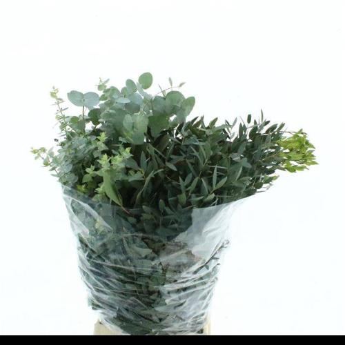Eucalyptus per bos gemengd
