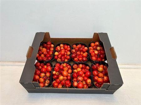 Siervruchten per bak Malus overig