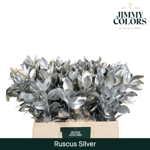 Ruscus kleurbehandeld H%