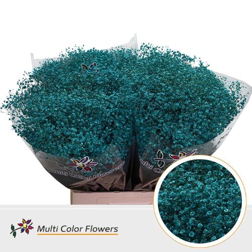 Gypsophila overig kleurbehandeld H%
