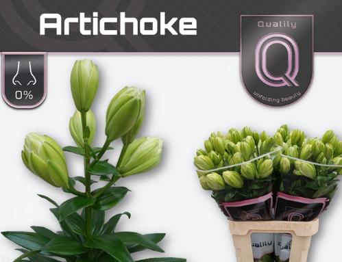 Lilium Longiflorum x Aziatische Grp overig