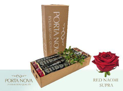 Rosa grootbloemig Red Naomi!