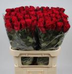 9ba0a7e5-09ac-48ba-8ced-79b8ed4934e7.jpg