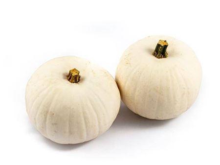 Cucurbita pepo