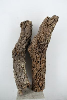 Huis en tuindecoratie overig H%