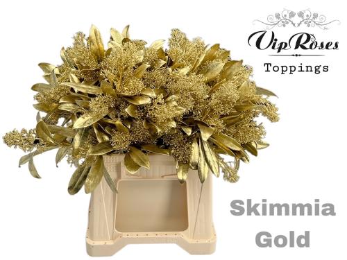 Skimmia per bos overig kleurbehandeld H%