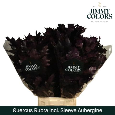 Quercus rubra kleurbehandeld H%