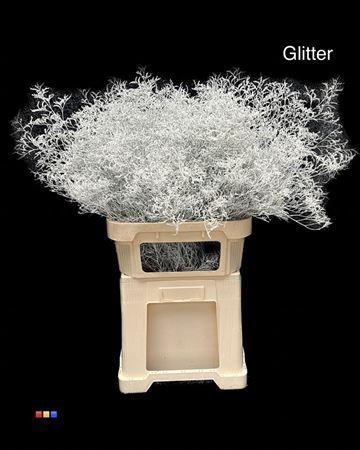 Limonium overig kleurbehandeld H%