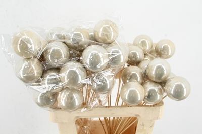 Huis en tuindecoratie overig H%