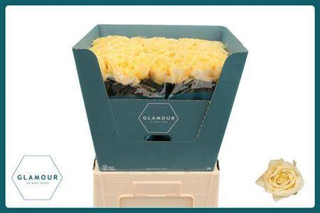 Rosa grootbloemig Buttercup