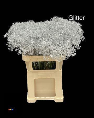 Gypsophila overig kleurbehandeld H%