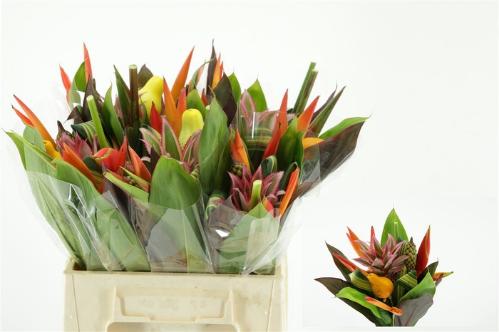 Heliconia boeket