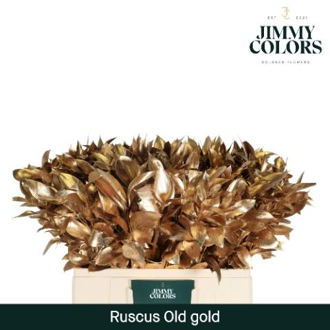 Ruscus kleurbehandeld H%