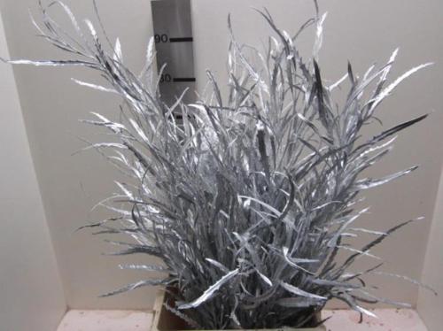 Decoratiegroen kleurbehandeld H%