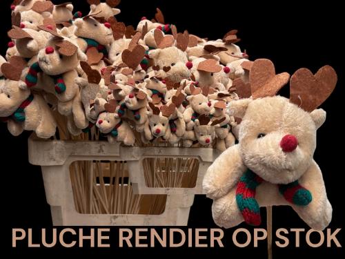 Huis en tuindecoratie overig H%