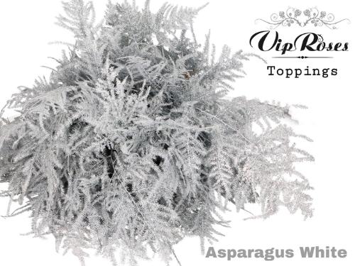 Asparagus overig kleurbehandeld H%