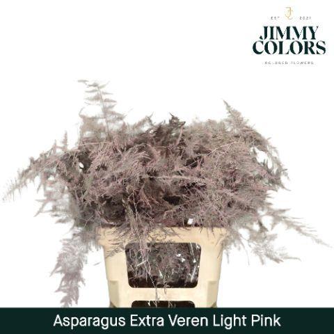 Asparagus overig kleurbehandeld H%