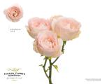 9f6366c0-68db-4875-9015-f334937eebad.jpg