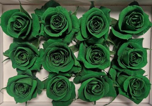 Rosa grootbloemig kleurbehandeld H%