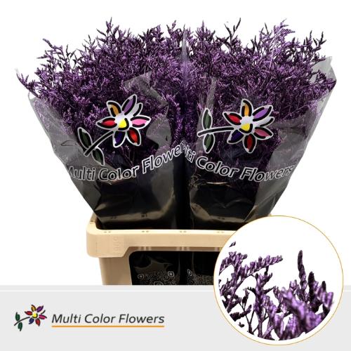Limonium overig kleurbehandeld H%
