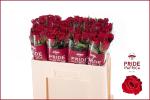 9fee35a3-893e-4adc-8897-ad036474222f.jpg
