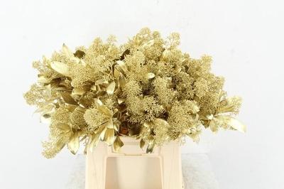 Skimmia per bos overig kleurbehandeld H%