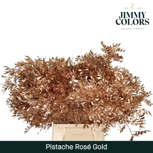 Pistacia kleurbehandeld H%