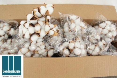 Huis en tuindecoratie overig H%