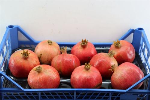 Siervruchten per stuk Punica granatum