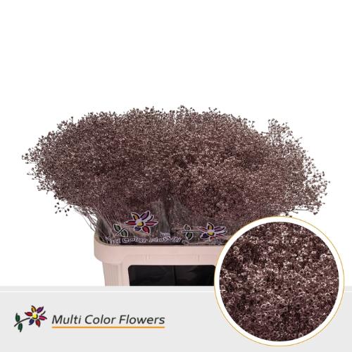 Gypsophila overig kleurbehandeld H%