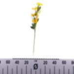a14b80bb-4637-4ce2-bf68-6facb98db312.webp