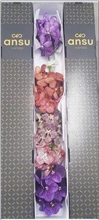 Vanda per tak gemengd