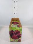 a20dcdfa-2bf8-43b5-a057-5e2da8af689d.jpg