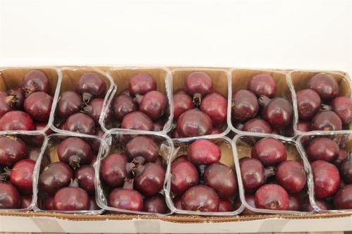 Siervruchten per stuk Punica granatum
