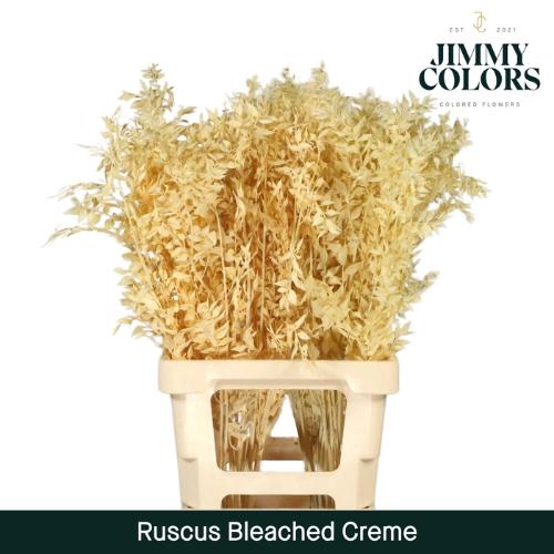 Snijbloemen overig kleurbehandeld H%