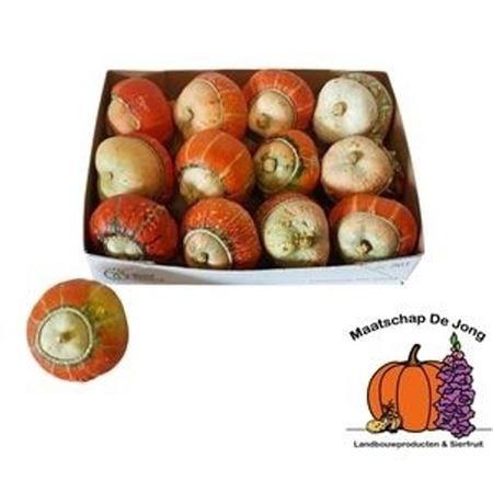 Siervruchten per stuk Cucurbita maxima Turk's Turban Mix