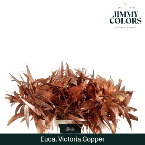 Eucalyptus globulus kleurbehandeld H%