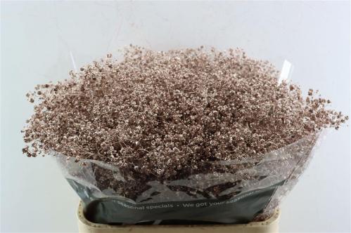 Gypsophila overig kleurbehandeld H%