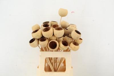 Huis en tuindecoratie overig H%