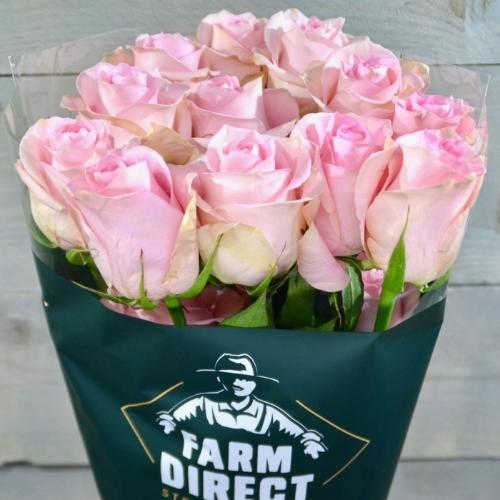 Rosa grootbloemig overig