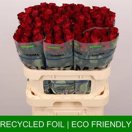 Rosa grootbloemig Madam Red