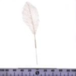 a57c6029-369c-4edc-9186-bcd9ad75d37b.webp