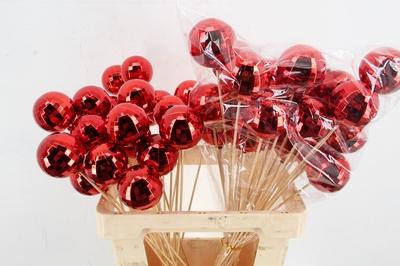 Huis en tuindecoratie overig H%