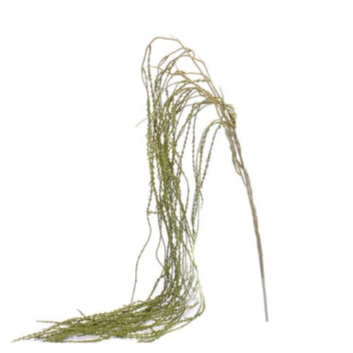 Tamarix x3 160cm umelý