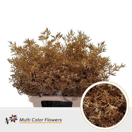 Limonium overig kleurbehandeld H%