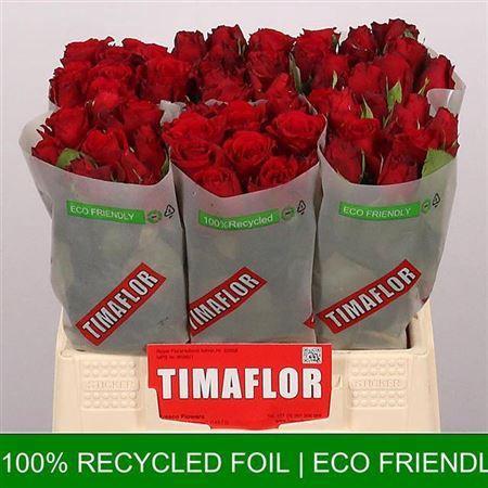 Rosa grootbloemig Upper Class