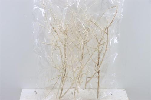 Huis en tuindecoratie overig H%