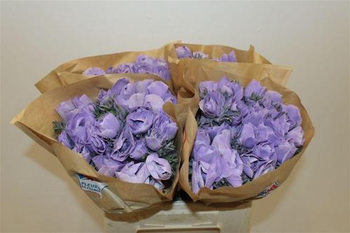 Snijbloemen overig kleurbehandeld H%