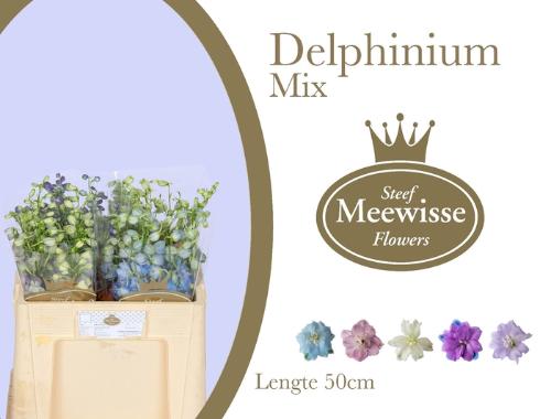 Delphinium dubbelbloemig gemengd