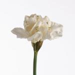 a6dba597-bc91-4bf9-add5-ee61d2be5c77.jpg